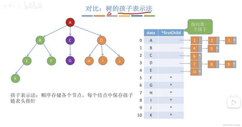 數(shù)據(jù)結(jié)構(gòu)中的領(lǐng)接表法 高效圖存儲與數(shù)據(jù)處理解析